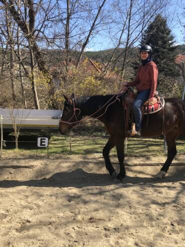 Knotenhalfter reiten 1