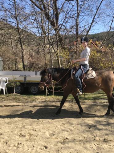 Knotenhalfter reiten 2