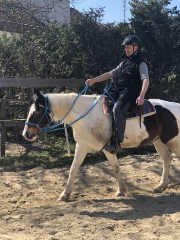 Knotenhalfter reiten 3