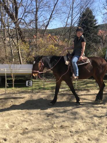 Knotenhalfter reiten 4